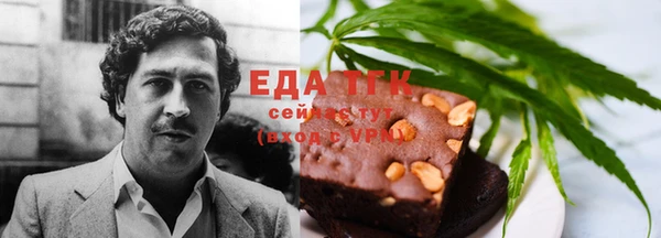 индика Алексин