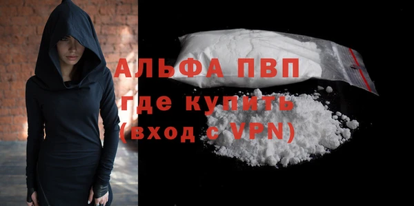 индика Алексин