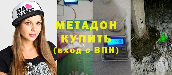 индика Алексин