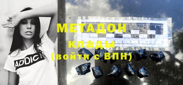 индика Алексин