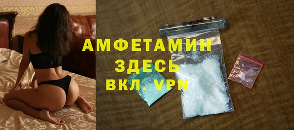 индика Алексин