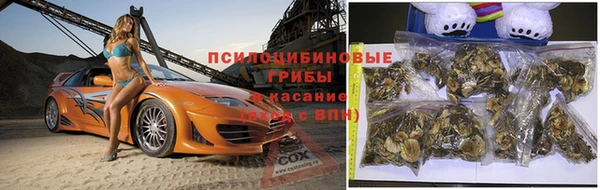 соль курить ск Алексеевка