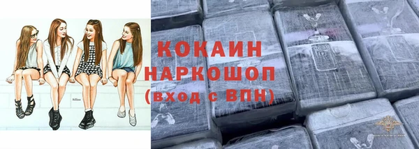индика Алексин