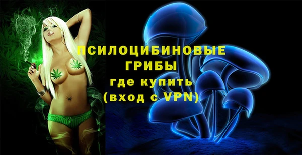 герыч Алзамай